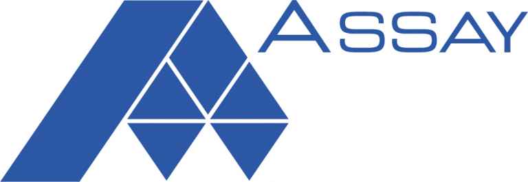 www.assay.pl