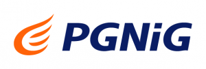 www.pgnig.pl